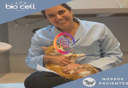 Veterinaria com gato no colo