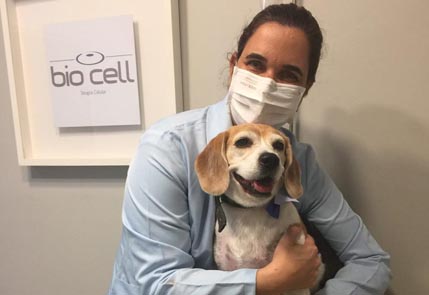Veterinario dando carinho para cachorro apos tratamento